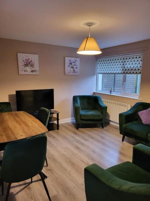 Flat 1, Regent Street, Bagenalstown, Co.Carlow Buitenkant foto